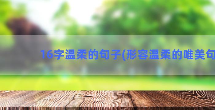 16字温柔的句子(形容温柔的唯美句子)