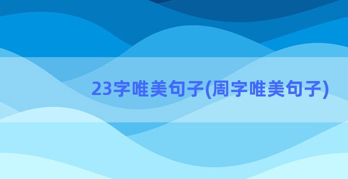 23字唯美句子(周字唯美句子)