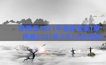 摩羯座2021年最配星座(摩羯座2021年3月23日运势)