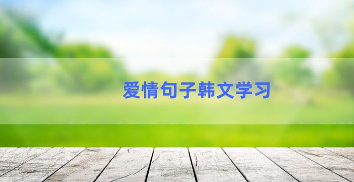 爱情句子韩文学习