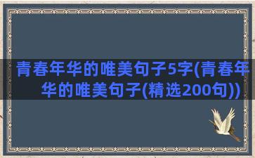 青春年华的唯美句子5字(青春年华的唯美句子(精选200句))